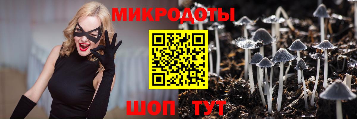 Касимов  Псилоцибиновые грибы Cubensis  Псилоцибиновые грибы мицелий  Вход с VPN 